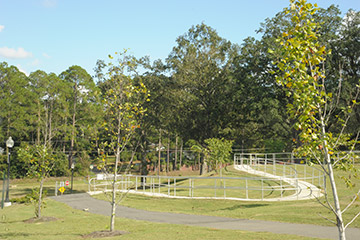 Tanyard Creek Park